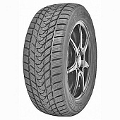 шина Delinte Winter WD1 245/45R19 98S в Кирове