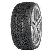 шина ARIVO Winmaster ProX ARW 3 205/55R16 91H в Кирове