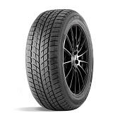 шина DoubleStar DW09 225/45R18 95T в Кирове