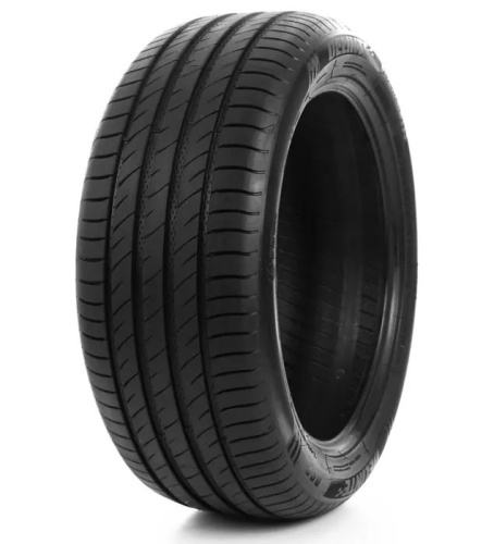 Delinte DS-2 SUV 265/60R18 110V
