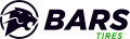 модели шин шины bars в Кирове